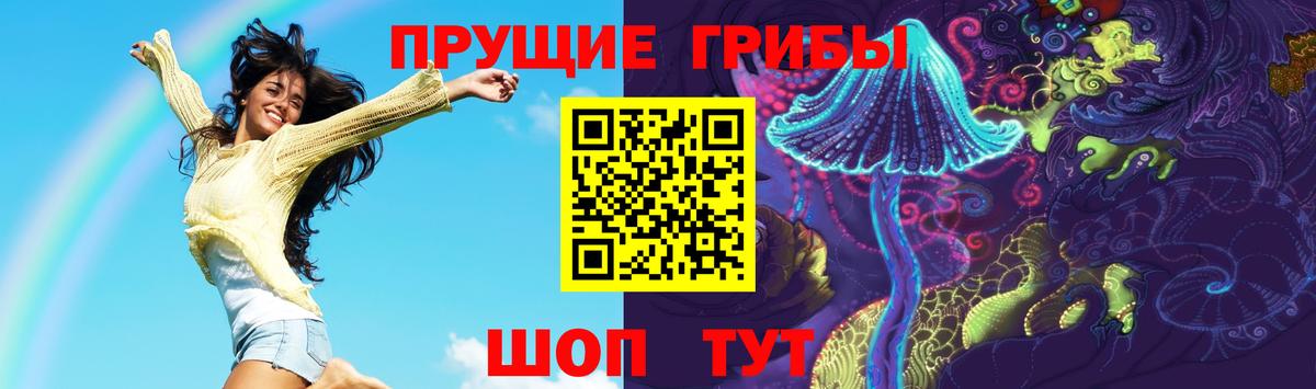 Псилоцибиновые грибы MAGIC MUSHROOMS  Вход с VPN  где найти наркотики  Йошкар-Ола 